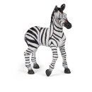 Zebra Fohlen