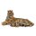 Liegende Tigerin mit Babies