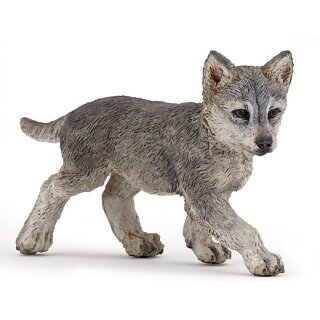 Graues Wolfjunges