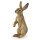 Stehender Hase