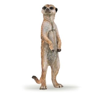 Stehendes Erdmännchen