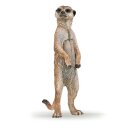 Stehendes Erdmännchen