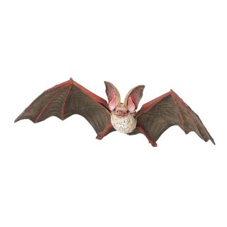 Fledermaus