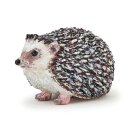 Igel