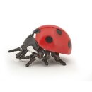 Marienkäfer