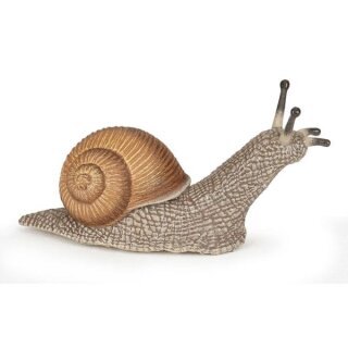 Schnecke