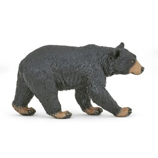 Amerikanischer Schwarzbär