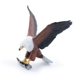 Afrikanischer Seeadler