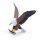 Afrikanischer Seeadler