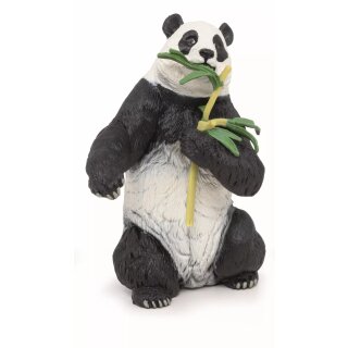 Panda mit bambus