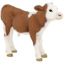 Simmentaler Kalb