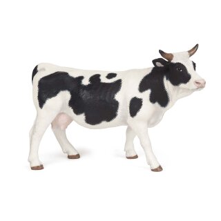 Holstein Kuh