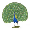 Pfau