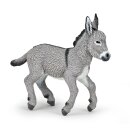 Esel der Provence Fohlen