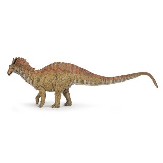 Amargasaurus