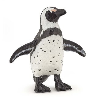 Brillenpinguin