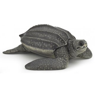 Lederschildkröte