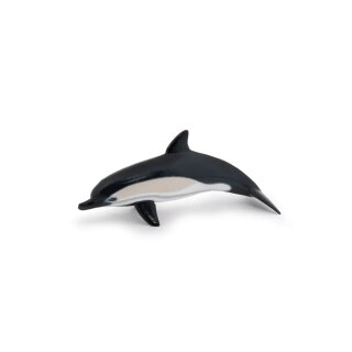 Gemeiner Delfin