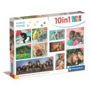 10 in 1 Supercolor