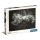 1.000 T High Quality Collection Compact