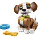 Niedliche Tiere: Verspielter Welpe