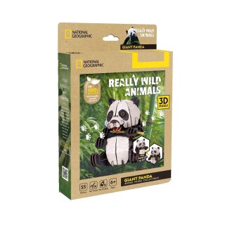 Wild Animal Giant Panda