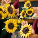 Sonnenblumen