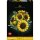 Sonnenblumen