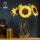 Sonnenblumen