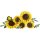Sonnenblumen