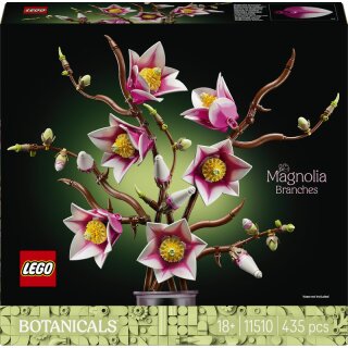 Magnolienzweige