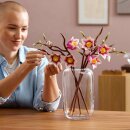 Magnolienzweige