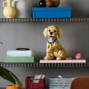 Golden Retriever Welpe