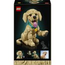 Golden Retriever Welpe