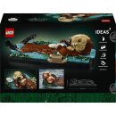 Schwimmende Otter