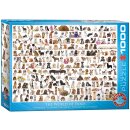 Hundewelt 1000 Teile