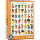 Kakteen und Sukkulenten 1000 Teile