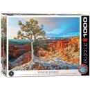 Grand Canyon Winter Sonnenaufgang 1000 Teile