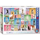 Yoga Hunde 1000 Teile