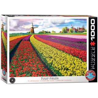 Tulpenfelder Niederlande
