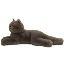 Kartäuserkatze liegend 36 cm