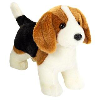 Beagle stehend 25 cm