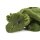 Drache Cleo 32 cm