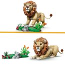 Wilde Tiere: Majestätischer Löwe