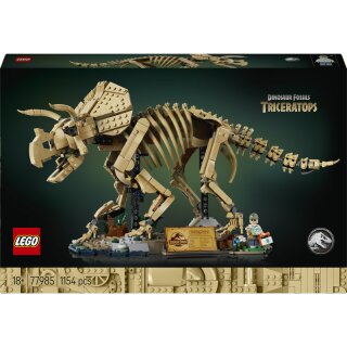 Dinosaurier-Fossilien: Triceratops