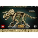Dinosaurier-Fossilien: Triceratops