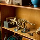 Dinosaurier-Fossilien: Triceratops