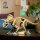 Dinosaurier-Fossilien: Triceratops