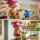 Tony Tony Chopper