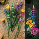 Wildblumenstrauß
